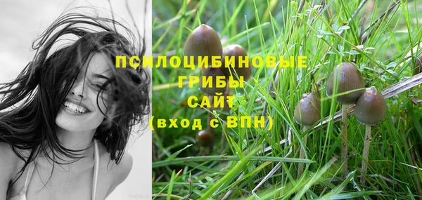 ПСИЛОЦИБИНОВЫЕ ГРИБЫ Богородицк