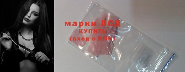 стаф Белокуриха