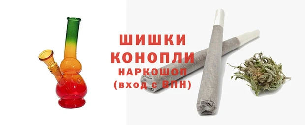 стаф Белокуриха