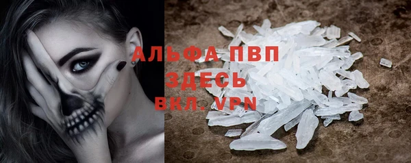 стаф Белокуриха