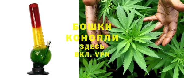 молекула духа Белоозёрский