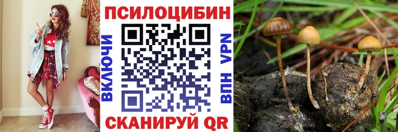 что такое   Новокузнецк  Псилоцибиновые грибы GOLDEN TEACHER 